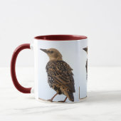 European Starling Bird Mug マグカップ (左)