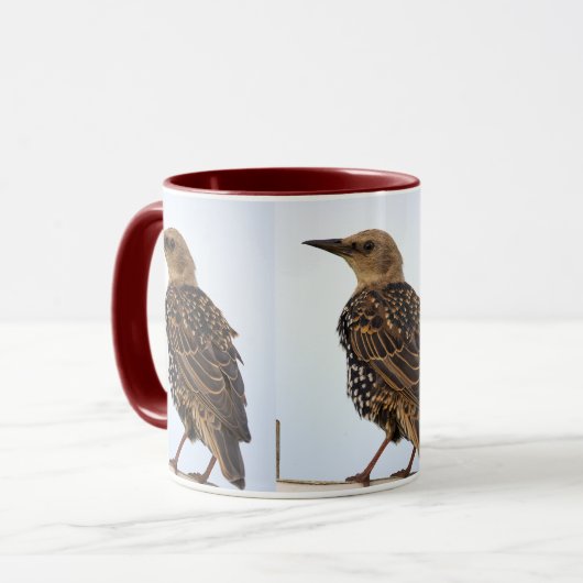 European Starling Bird Mug マグカップ (正面左)