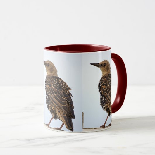 European Starling Bird Mug マグカップ (正面右)