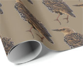 European Starling Bird Wrapping Paper ラッピングペーパー (ロールコーナー)