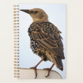 European Starling Planner プランナー手帳 (正面)