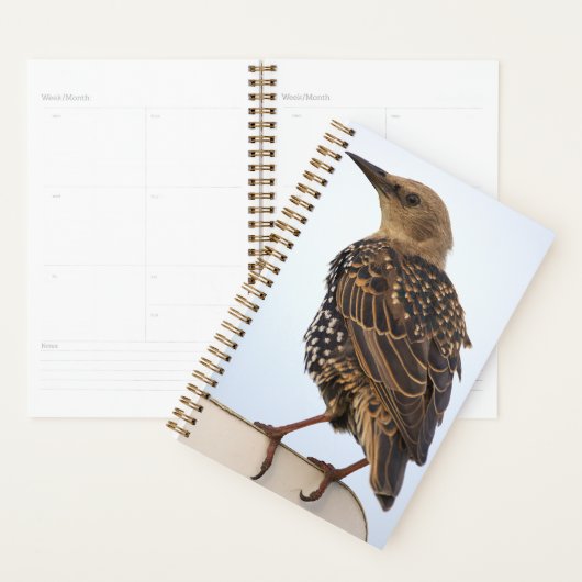 European Starling Planner プランナー手帳 (ディスプレー)