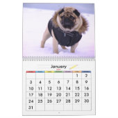 Europugのカレンダー2016年"Valliの季節" カレンダー (1月 2027)