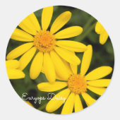 Euryops Daisy [Round Seal] ラウンドシール (正面)