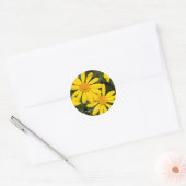 Euryops Daisy [Round Seal] ラウンドシール (封筒)