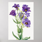 Eustoma Russelianum, Purple Flowers, ポスター (正面)