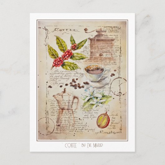 EVEコ絵を描ーヒー植物性イラストレーション ポストカード (正面)