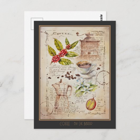 EVEコ絵を描ーヒー植物性イラストレーション ポストカード (正面/裏面)