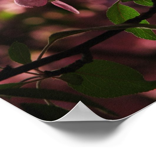 Even more cherries ポスター (角)