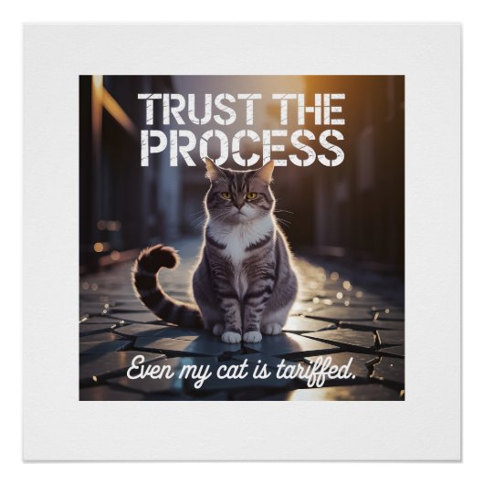 Even My Cat Is Tariffed - Trust The Process ポスター (正面)