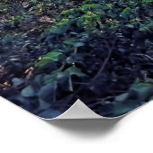 Evening in Taipei ポスター (角)