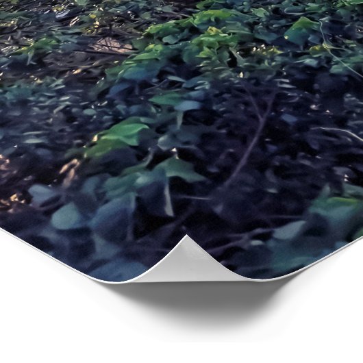 Evening in Taipei ポスター (角)