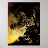 Eveningscapesポスター ポスター (正面)