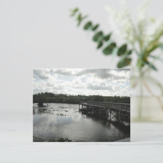 Evergladesはがき ポストカード (スタンド正面)