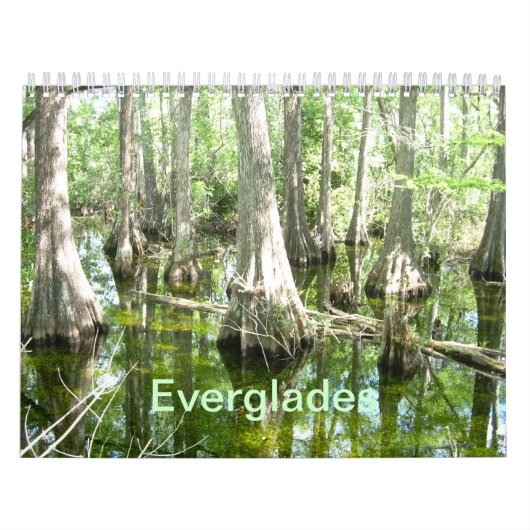 Evergladesウォールカレンダー カレンダー (カバー)