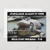 Everglades Alligator Farm – 朝食を含む – u ポストカード (正面/裏面)