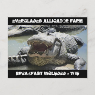 Everglades Alligator Farm – 朝食を含む – u ポストカード