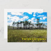 Everglades Cypress Blue Sky & Cloud Reflections ポストカード (正面/裏面)