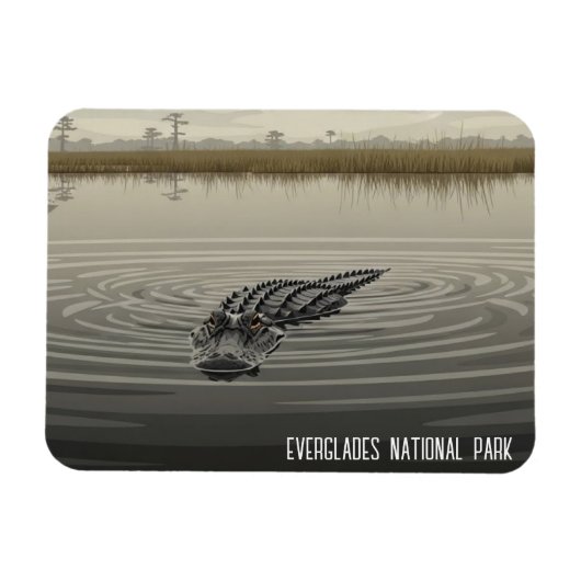 Everglades Florida Alligator Travel マグネット (横)