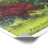 Everglades National Park Floridaのヴィンテージ写真 ポスター (角)