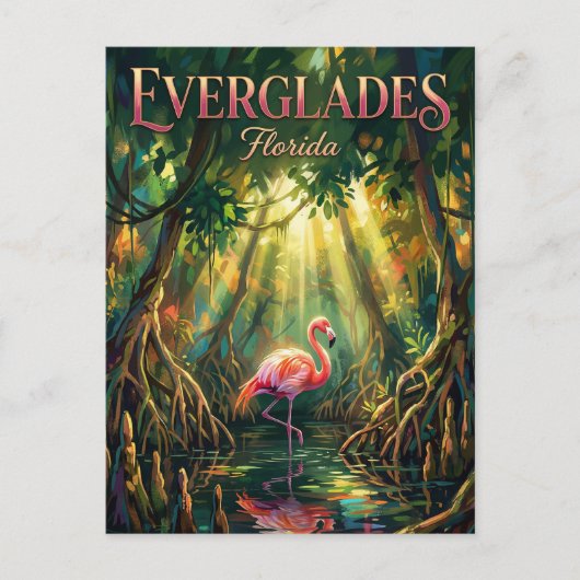 Everglades National Park Florida ポストカード (正面)