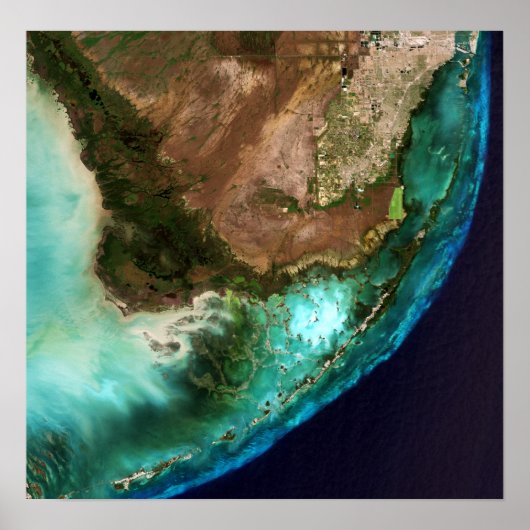 Everglades National Park Florida Keys Satellite ポスター (正面)