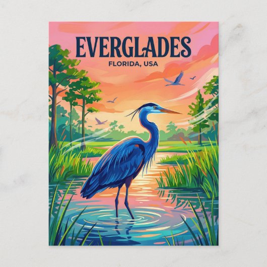 Everglades National Park USA ポストカード (正面)
