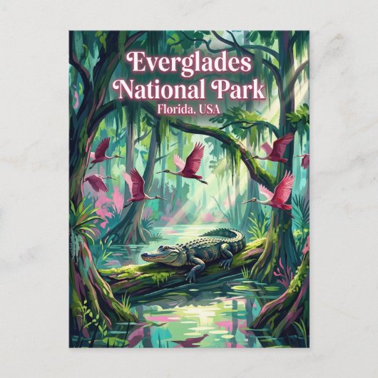 Everglades National Park USA ポストカード (正面)