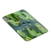 Evergles Nat'l Parkからの温かい挨拶 マグネット (右側)