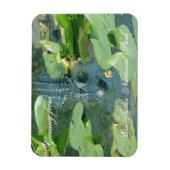 Evergles Nat'l Parkからの温かい挨拶 マグネット (縦)