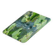 Evergles Nat'l Parkからの温かい挨拶 マグネット (左側)