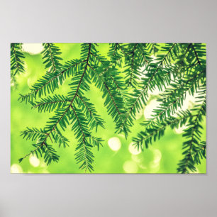 Evergreen Nature Pine Trees Green Poster ポスター