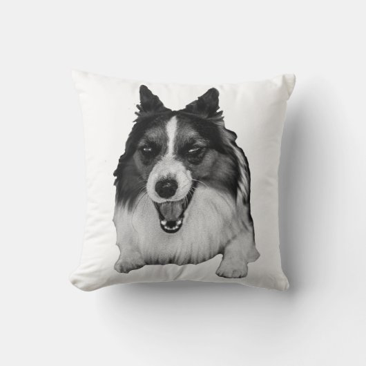 Evergreen Sofa Accent クッション (正面)