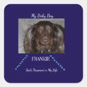 Everlasting Pawprint Bond スクエアシール (正面)