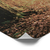 Evermore | Enchanted Forest Bridal Shower Welcome ポスター (角)