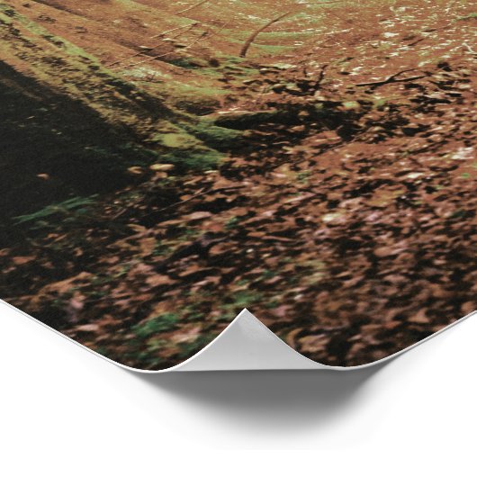 Evermore | Enchanted Forest Bridal Shower Welcome ポスター (角)