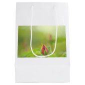 Every Day is a Gentle Earth Day  ペーパーバッグ (裏面)