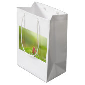 Every Day is a Gentle Earth Day  ペーパーバッグ (裏面アングル)