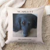 Everyday Companion Tribute Pillow クッション (ブランケット)