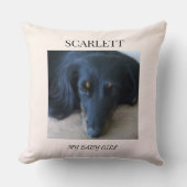 Everyday Companion Tribute Pillow クッション (正面)