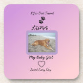 Everyday Love Pawprint Pet コースター (正面)