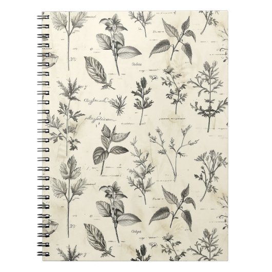 Everyday Writer's Journal ノートブック (正面)