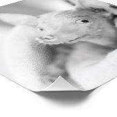 Everything Rosie写真 フォトプリント (角)