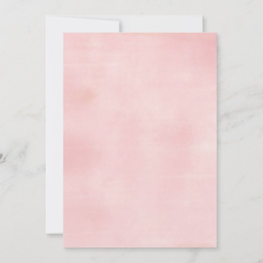 Everything S'more Fun Pink Baby Shower Gingham 招待状 (裏面)