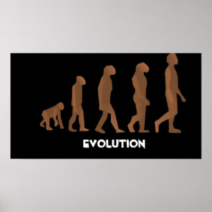 Evolutionポスター ポスター
