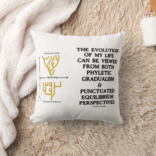 Evolution系統的漸進的漸進的平衡時点平衡運動 クッション (ブランケット)