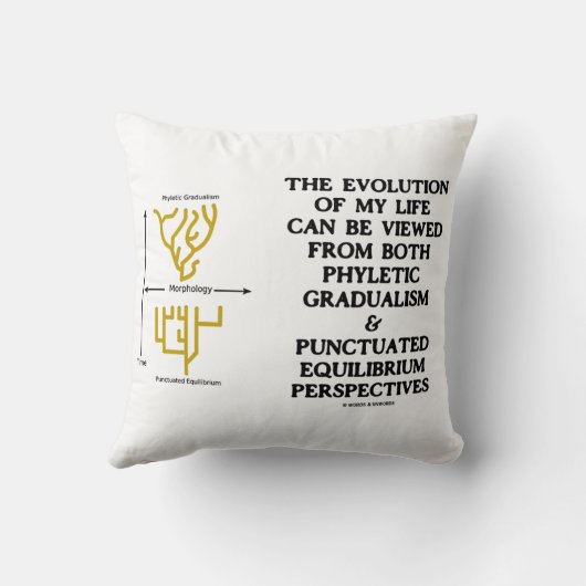 Evolution系統的漸進的漸進的平衡時点平衡運動 クッション (裏面)