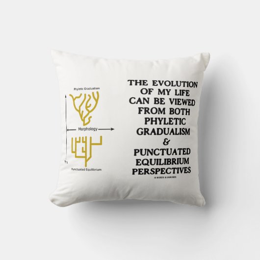 Evolution系統的漸進的漸進的平衡時点平衡運動 クッション (正面)