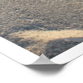 evolution ポスター (角)