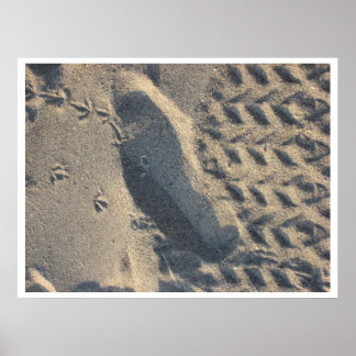 evolution ポスター